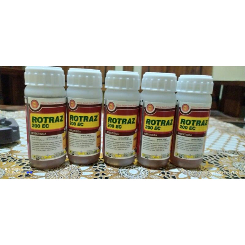 rotraz obat kutu lebah