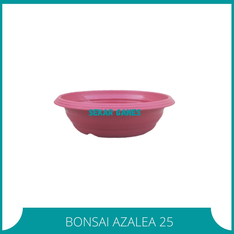 SEKARGANES Pot Bonsai Azalea 25 Cm Pot Bonsai Tawon Ceper Plastik Bonsai Kelapa Pot Bonsai Keramik