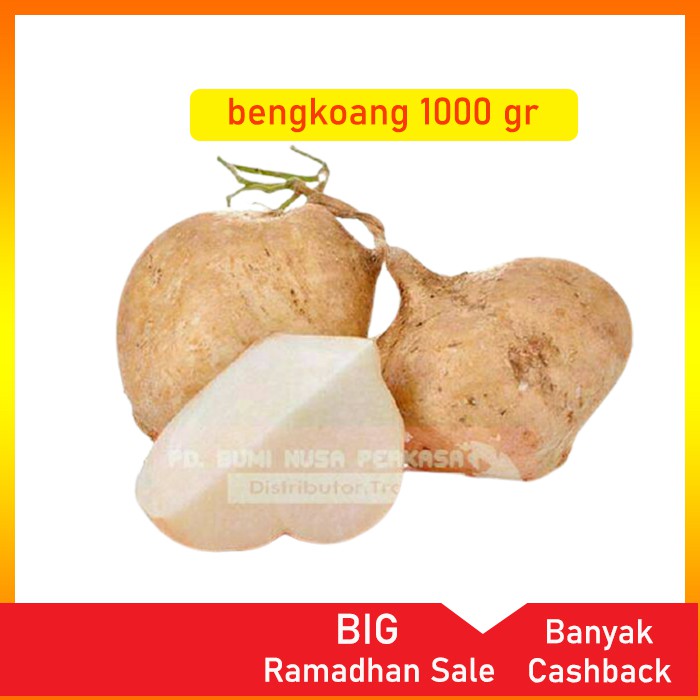 

Bengkoang Buah Buahan Segar Bengkoang rujak perawatan Kecantikan