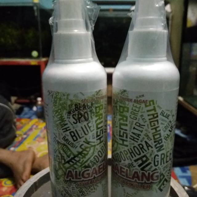 

Alagelang