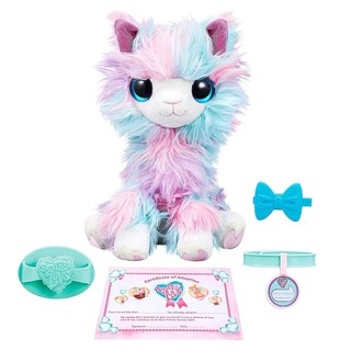 little live scruff a luv pink