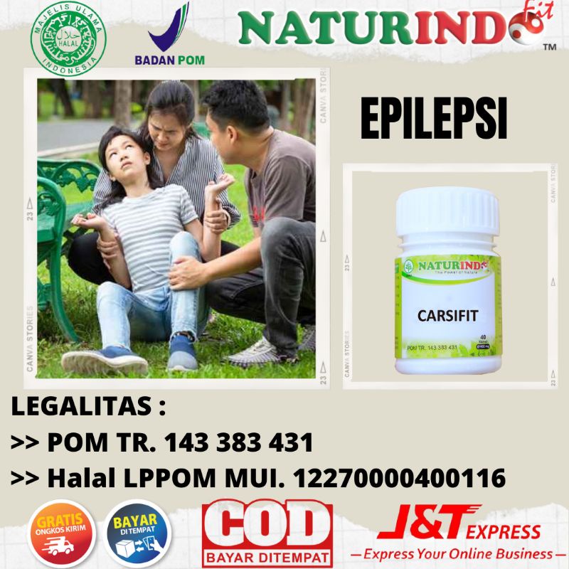 Obat Epilepsi Herbal Ampuh Ayan Gangguan Syaraf Otak Penyumbatan Pembuluh Darah Strok Setrok Stroke