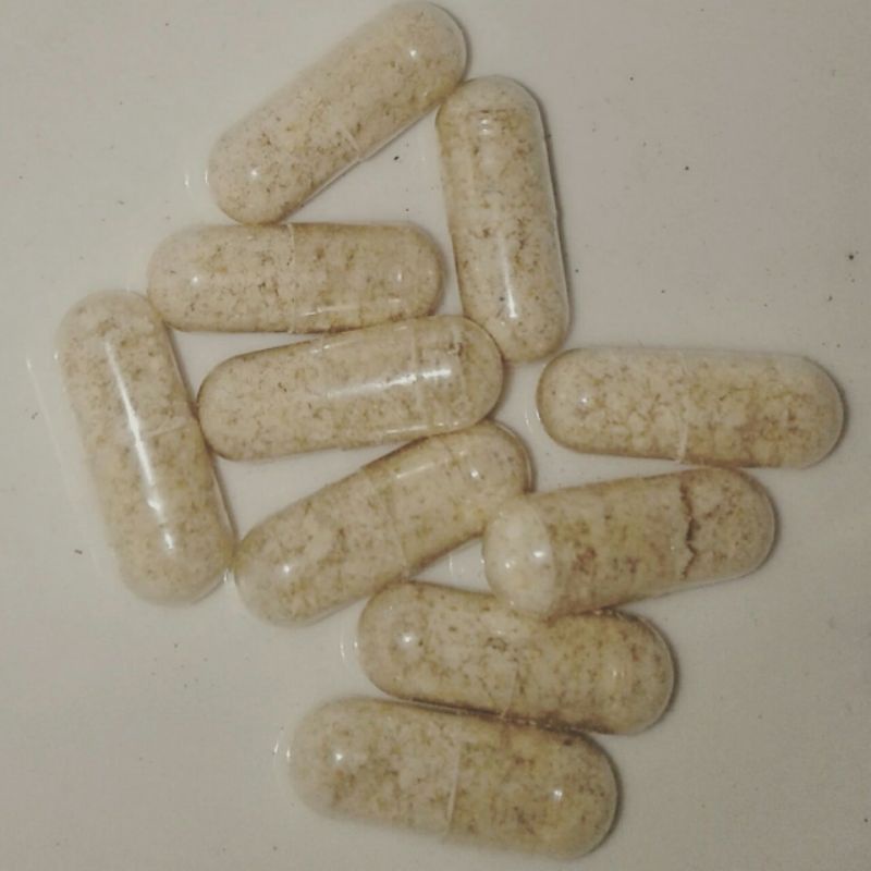 

herbal 30 butir kapsul bubuk biji kelor murni kernel curah