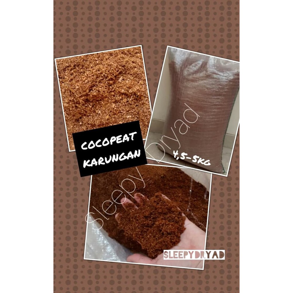 

Langsung Order 1 KARUNG Coco Peat Coconut Coir Serbuk Kelapa terbaik