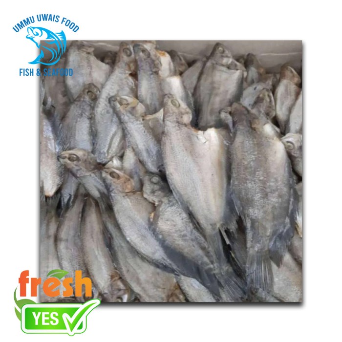 

Ikan Asin Sepat - 250 Gram