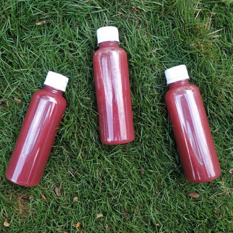 Biang Bakteri Fotosintesis PSB kemasan 250 ml