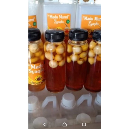 

madu bawang lanang