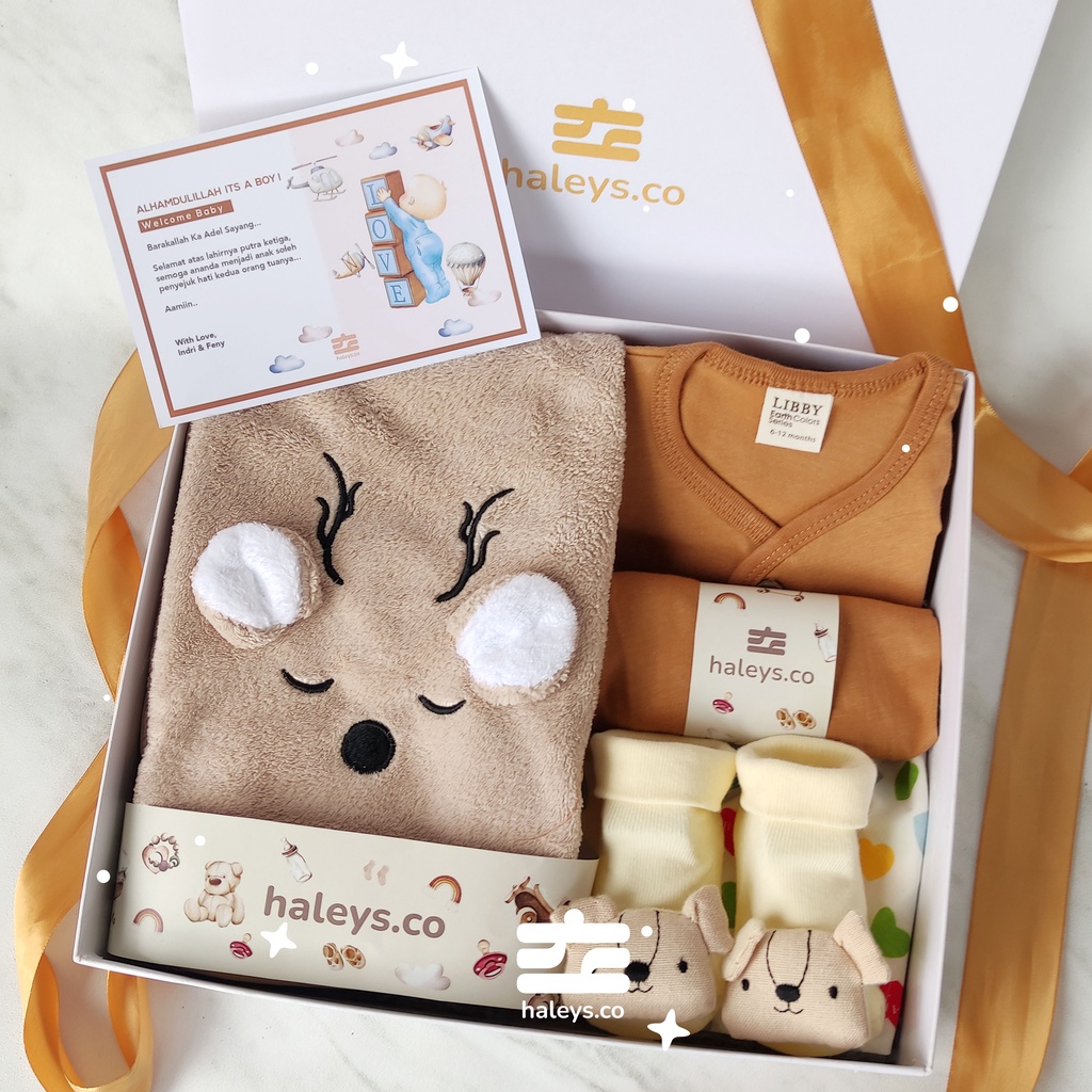 Boys/Girl Baby Hampers 0-12 months/ Hampers bayi newborn/ Kado bayi/ Babyboy Gift / Kado Lahiran / Giftbox / Kado Bayi Perempuan / Girl Hampers baby / Kado bayi laki laki / Haleys.co-Ginger Boy