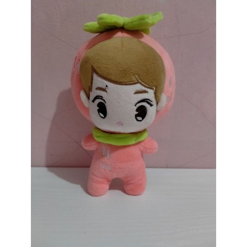 EXO DOLL/BONEKA EXO
