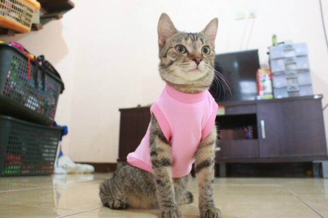 Kaos polos rip pink lucu untuk kucing &amp; anjing /Jual Baju Kucing Terlengkap &amp; Berkualitas size S-XL