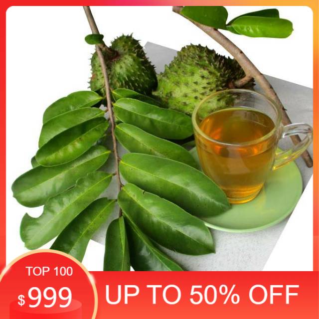 

Ready stock Daun sirsak segar per helai organik