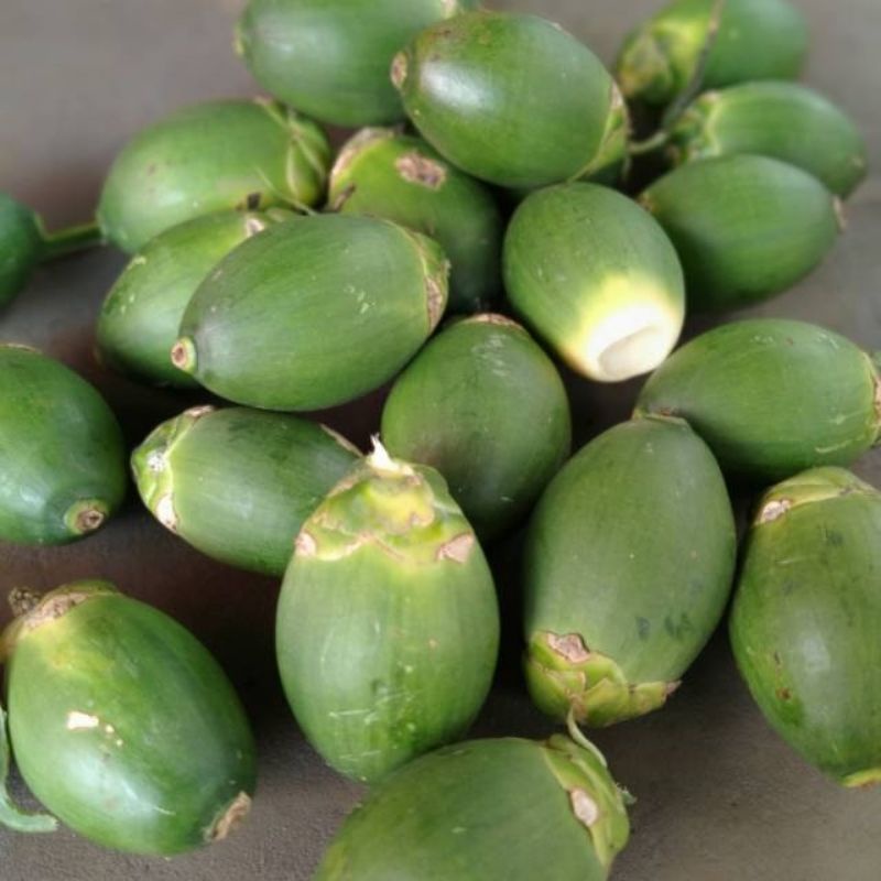 

Buah Pinang Muda 1kg