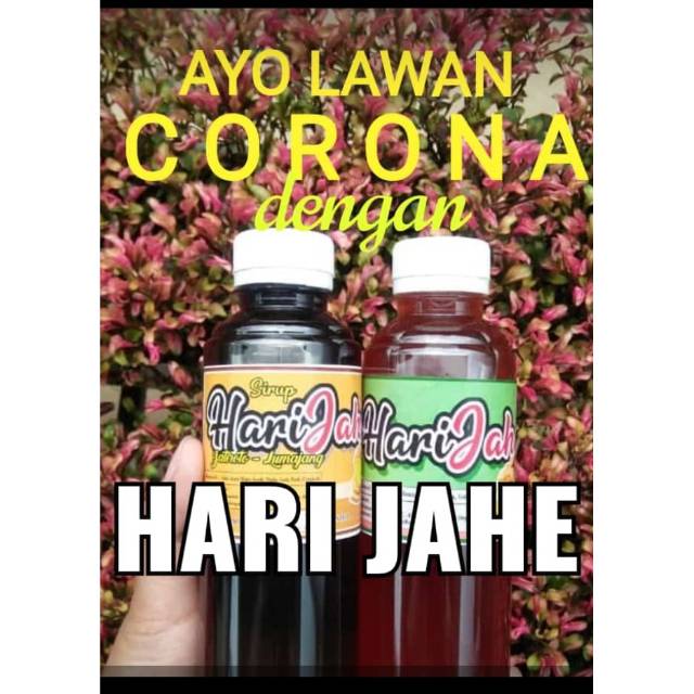

Hari Jahe