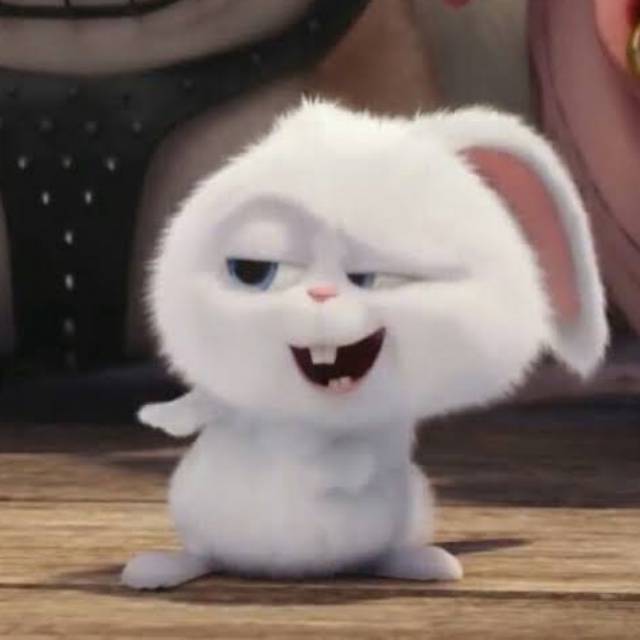 quinvee