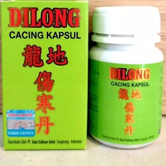 DILONG ( besar ) Kapsul Cacing Obat Tipes Demam / 地龙伤寒丹 / Obat Herbal Cina AYUNYASHOP