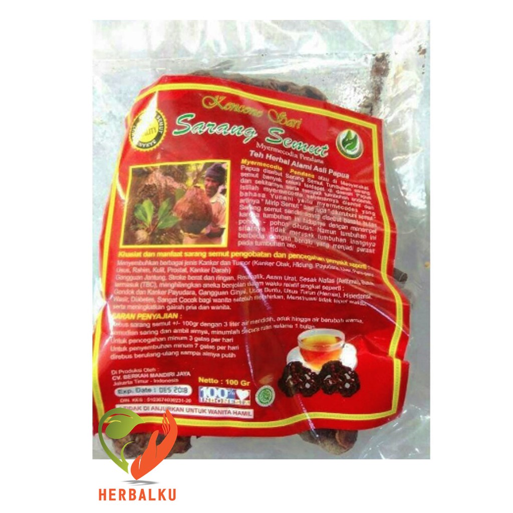 

Sarang Semut Kencono Sari 100gr | Sarmut Asli Papua | Teh Herbal Alami