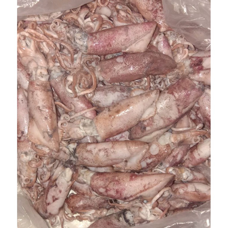 

CUMI ASIN UKURAN MEDIUM AGAK BESAR 100GR