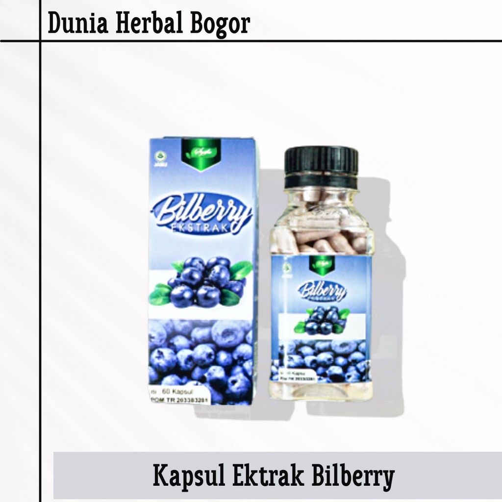Jual Ekstrak Bilberry Syifa Obat Mata Minus Plus Silinder Katarak Rabun