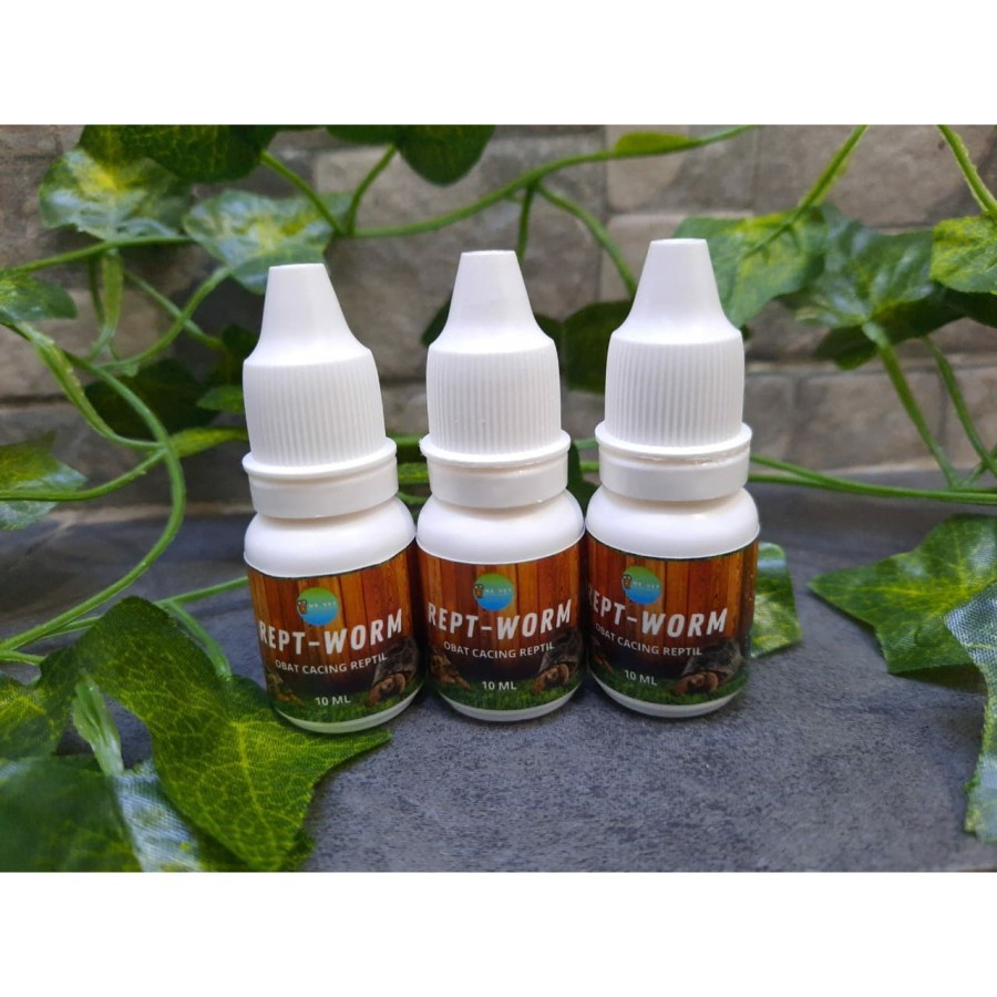 REPT-WORM OBAT CACING REPTIL KURA DARAT SULCATA FORSTENI PARDALIS