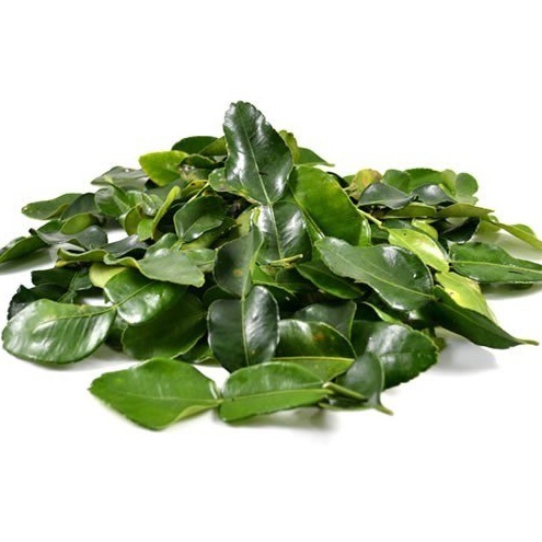 

Daun Jeruk murah