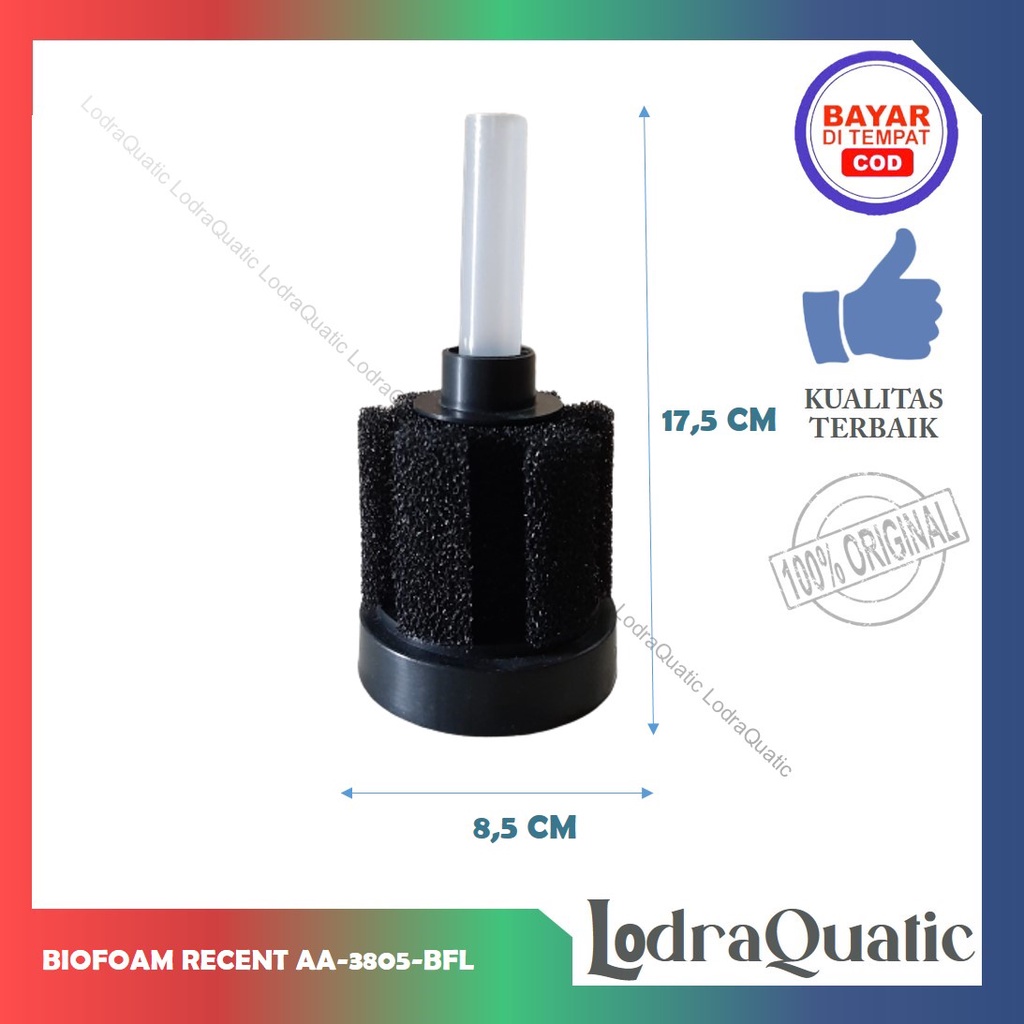 BIOFOAM RECENT AA 3805 BFL SPONGE FILTER RECENT AA 3805 BFL BIO FOAM FILTER AQUARIUM MINI BIO FOAM BIO FOAM KECIL FILTER AERATOR FILTER INTERNAL AQUARIUM BIO SPONGE FILTER BUSA FILTER AQUARIUM KAPAS FILTER AQUARIUM