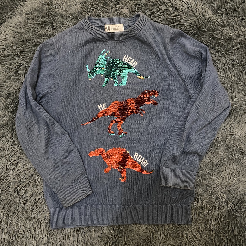 Preloved Sweater Crewneck Anak Boy HnM Jaket Dino