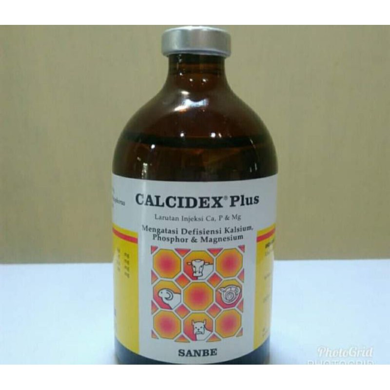 Calcidex plus inj 100ml Sanbe( Atasi Sapi ,Kambing Lumpuh )