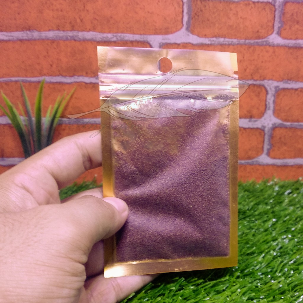 Bibit karpet carped seed Big leaf Seaweed bibit tanaman aquarium aquascape  (S)