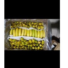 

pisang cavendise sunpride 1kg