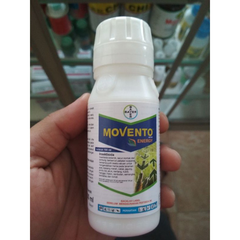 MOVENTO 100 cc