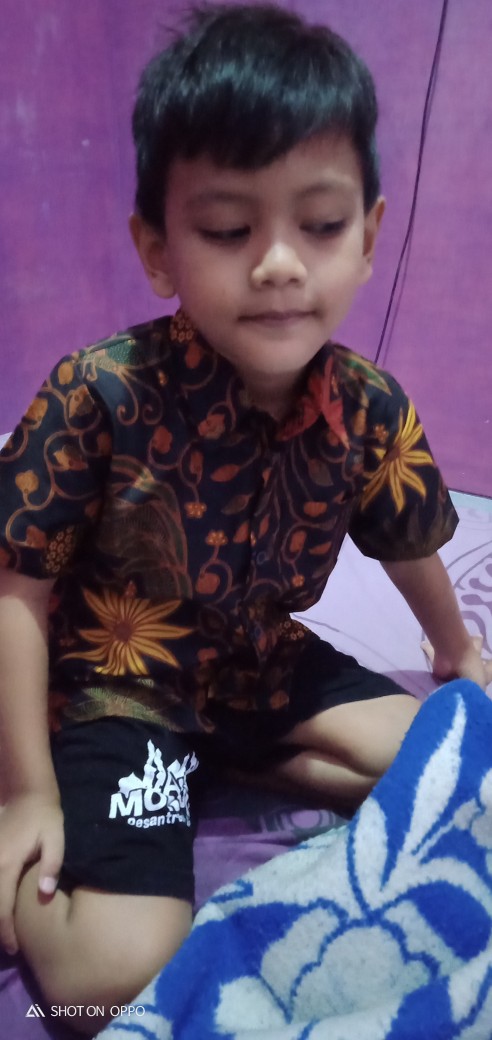 Kemeja Batik Anak Cowok//baju Batik Anak Cowok//batik Anak Laki Laki