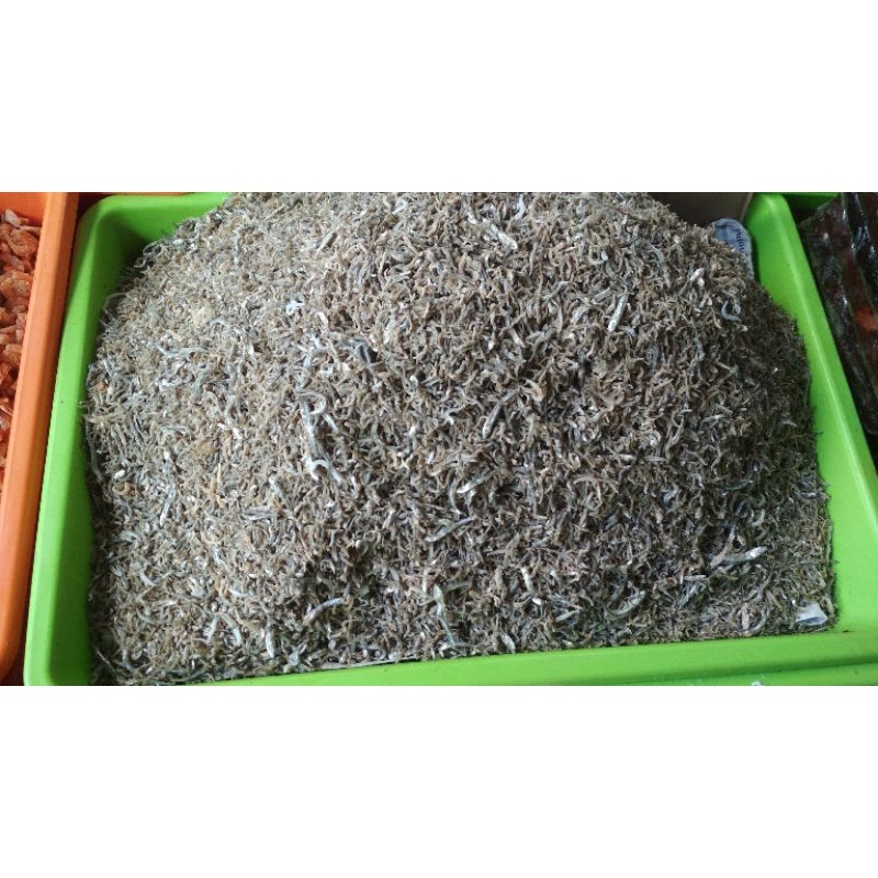 

ikan teri kecil ukuran 2 cm