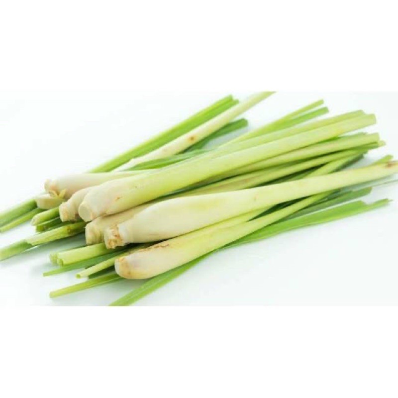 

Daun Serai Organik 100g