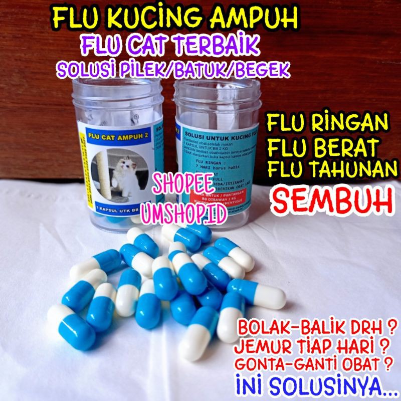 Flu Kucing Ampuh Paten Flu Care Kucing Flu Paten Flu Cat Virus Bakteri Kucing