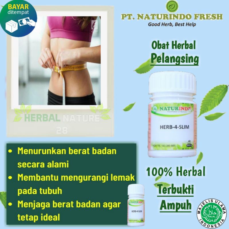 Obat Herbal Pelangsing Jamu Herbal Naturindo Fit