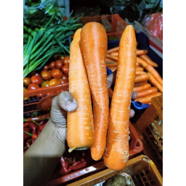 

cod instan wortel import murah wortel murah carrot