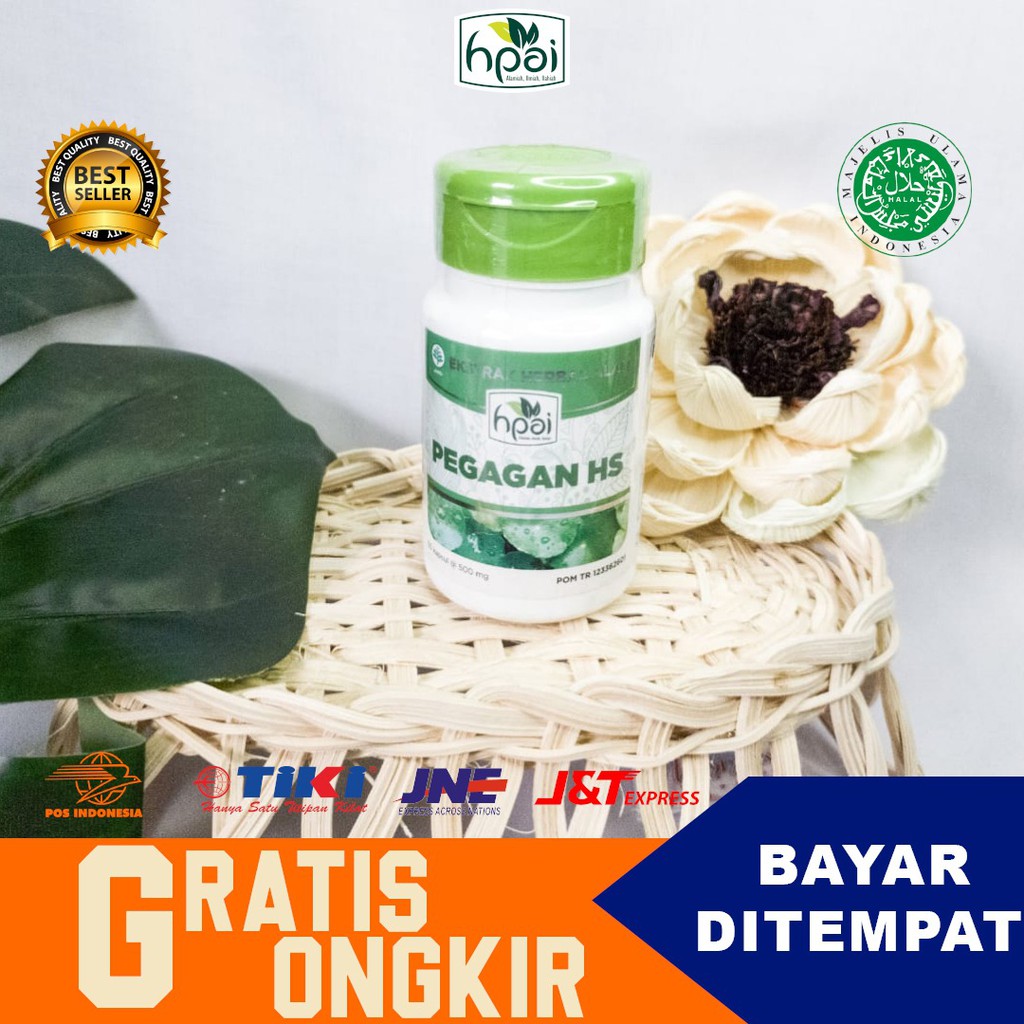 Jual Obat Herbal Pembantu Sirkulasi Darah Pegagan Hs Shopee Indonesia 3649