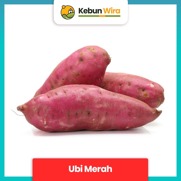 

Ubi Merah | Red Yams