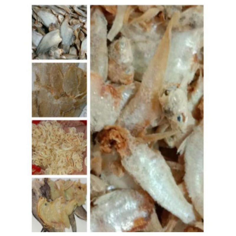 

ikan Gabus / pakang tawar/Bulu Ayam / Sepat Kecil / Rebon Asin