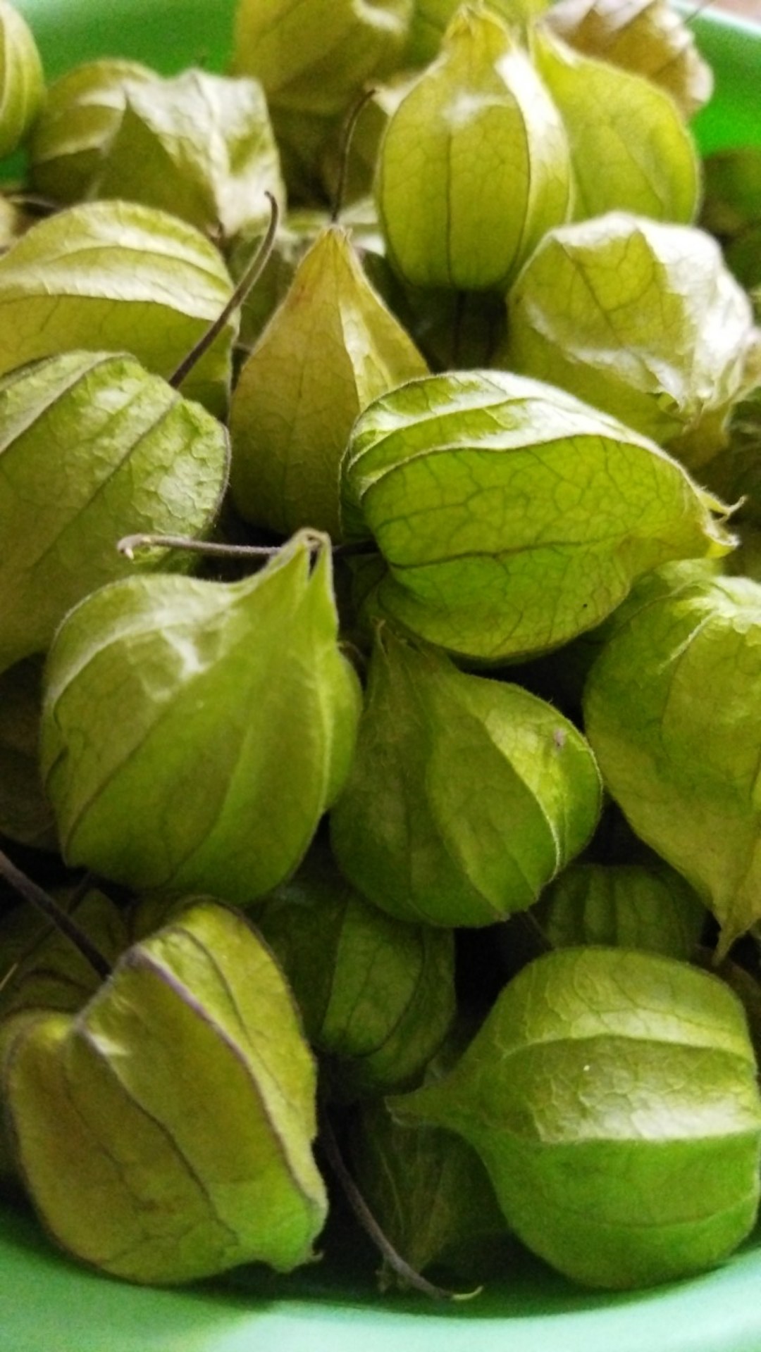 Insektisida Ulat Dan Hama Decis 25 Ec 50 Ml