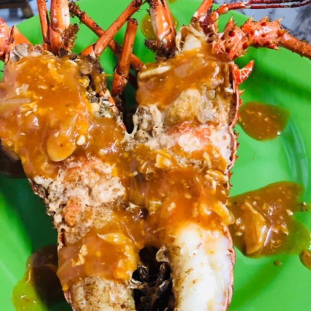 

Lobster +300 gram up (babon)
