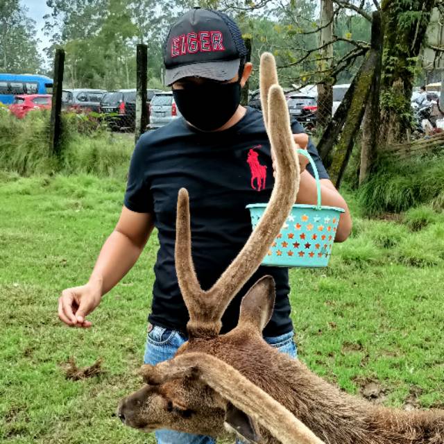 ridwanjees