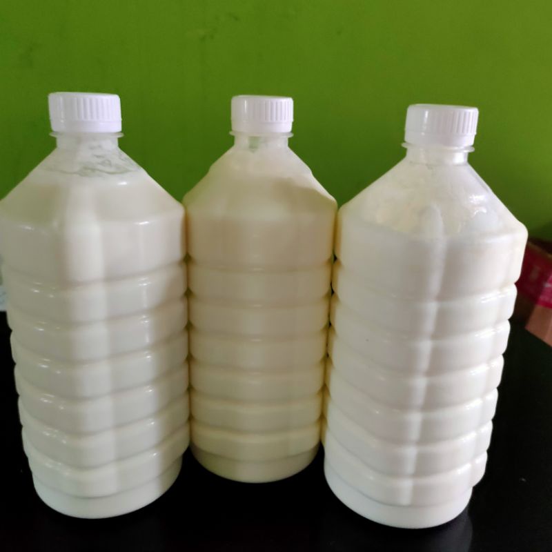 

Susu Kefir Sapi/imunbooster