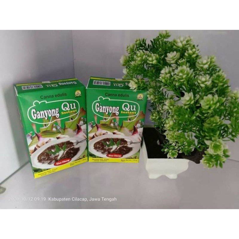 

TEPUNG GANYONG SIAP SAJI/PATI GANYONG CANNA EDULIS