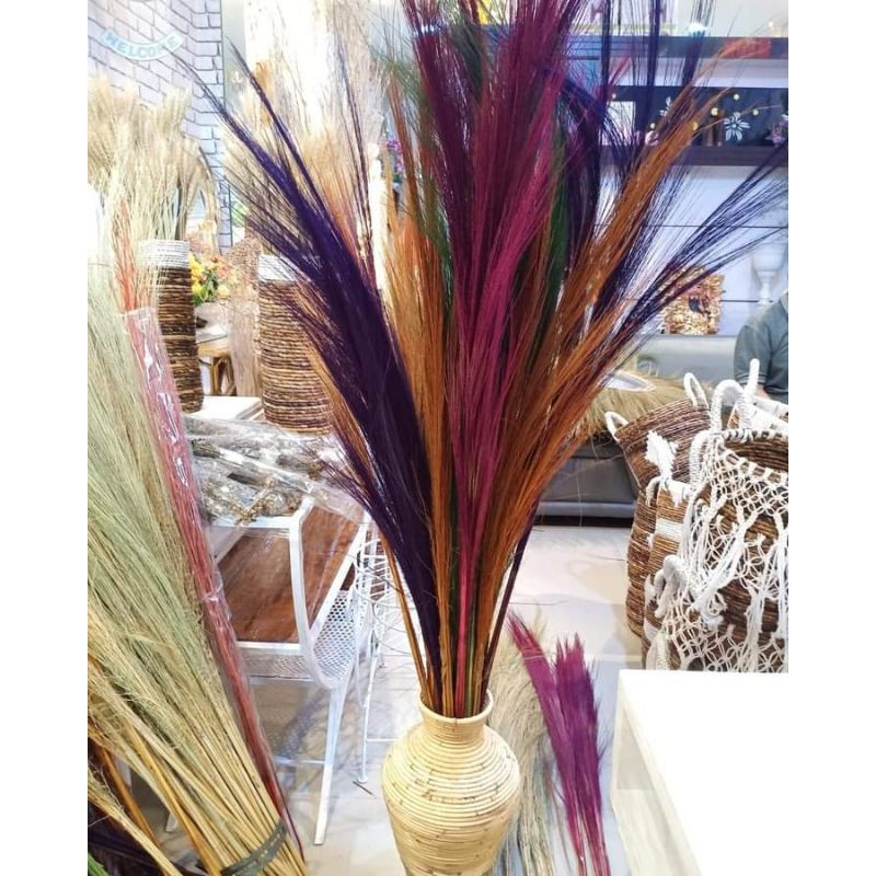 pampas kering #pampas warna