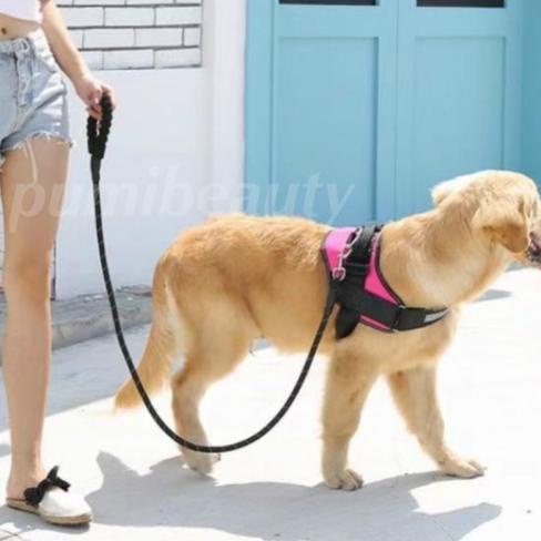 ❉ HARNESS ANJING TALI ANJING HARNESS ANJING BESAR MEDIUM TALI TUNTUN ANJING ROMPI ANJING TALI HARNES