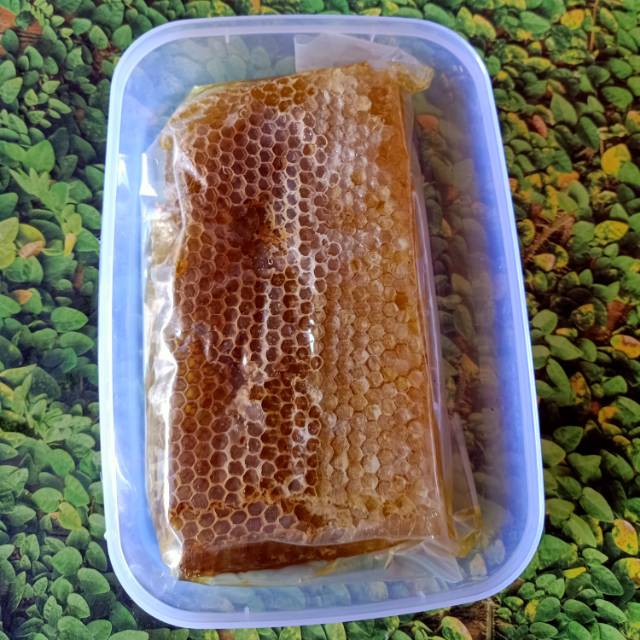

Madu Sarang Tua 500 grm