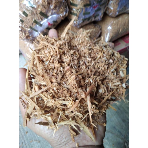 Serbuk Kayu Hamster | Landak mini, Sugar Glider, Kelinci Murah shaestore15