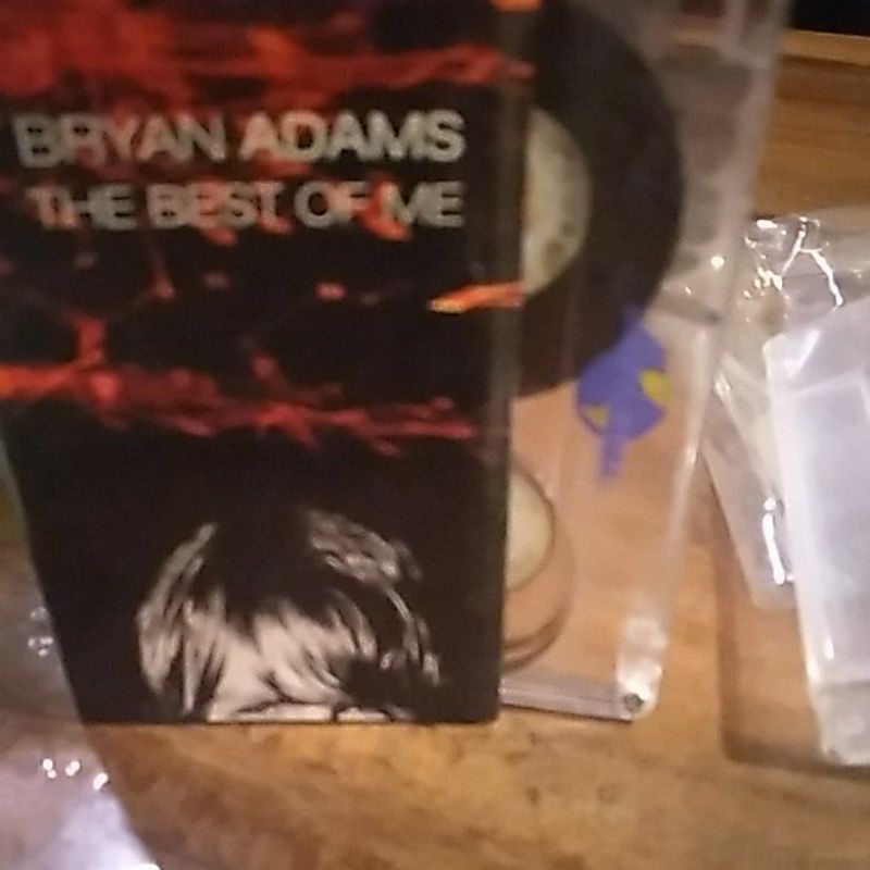 kaset bryan adams the best of me