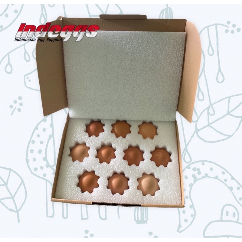 

box telur aman